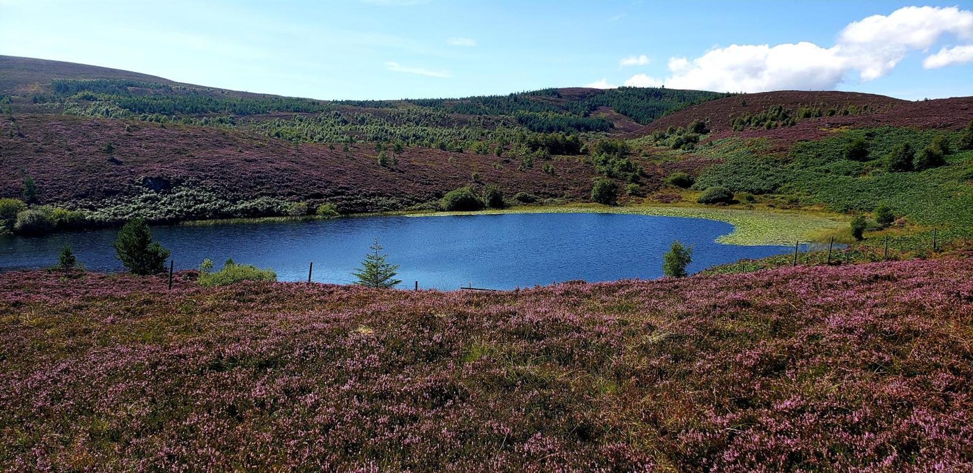 Highland Glen Lodges Rogart 외부 사진